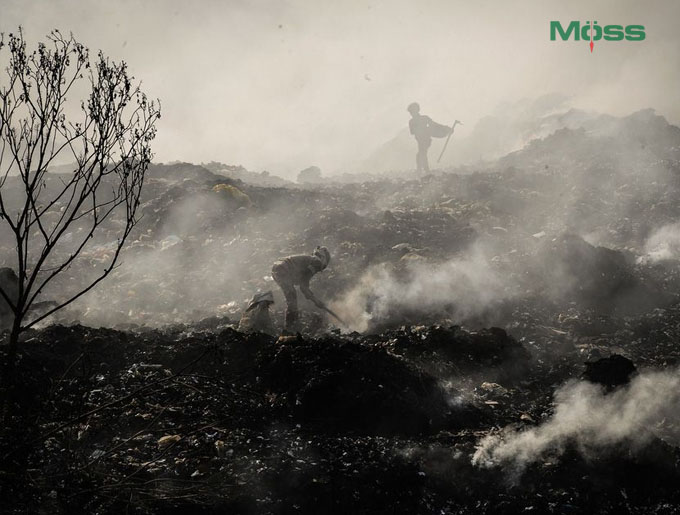 Ô nhiễm không khí ảnh hưởng đến tỷ lệ tử vong ở trẻ sơ sinh