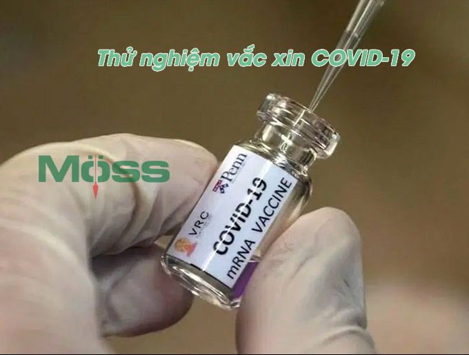 Béo phì và bệnh lý ảnh hưởng hiệu quả của vắc xin COVID-19 như nào?